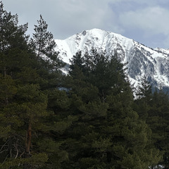 Дом в аренду Хвойная долина , Республика Карачаево-Черкесия 