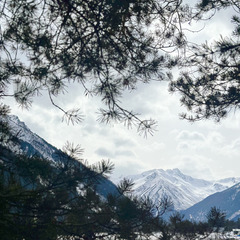 Дом в аренду Хвойная долина , Республика Карачаево-Черкесия 