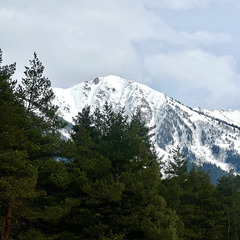 Дом в аренду Хвойная долина , Республика Карачаево-Черкесия 