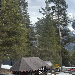 Дом в аренду Хвойная долина , Республика Карачаево-Черкесия 