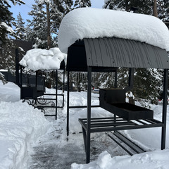 Дом в аренду Хвойная долина , Республика Карачаево-Черкесия 
