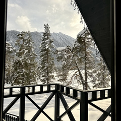 Дом в аренду Хвойная долина , Республика Карачаево-Черкесия 