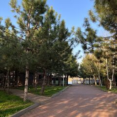 Гостевой комплекс 4 Сезона, Ростовская область