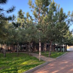 Гостевой комплекс 4 Сезона, Ростовская область