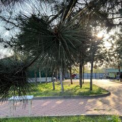 Гостевой комплекс 4 Сезона, Ростовская область