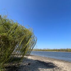 Гостевой комплекс 4 Сезона, Ростовская область