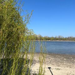 Гостевой комплекс 4 Сезона, Ростовская область