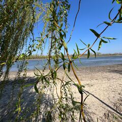 Гостевой комплекс 4 Сезона, Ростовская область