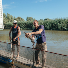 База отдыха Карай, Астраханская область