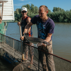 База отдыха Карай, Астраханская область