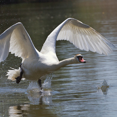 База отдыха Карай, Астраханская область