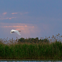 База отдыха Карай, Астраханская область