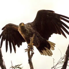 База отдыха Карай, Астраханская область