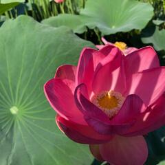 База отдыха Карай, Астраханская область