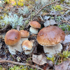 Гостевой дом Два берега, Республика Карелия