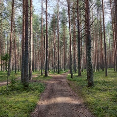 Гостевой дом Два берега, Республика Карелия