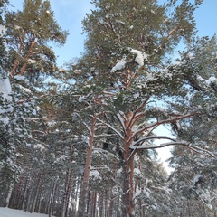 Гостевой дом Два берега, Республика Карелия