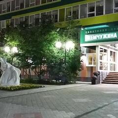 Санаторий Жемчужина Севера, Республика Коми