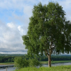 Санаторий Серёгово, Республика Коми