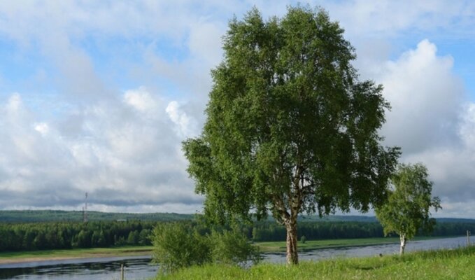 Серёгово — фото 4