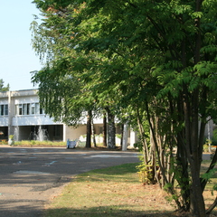 Санаторий Лозым, Республика Коми