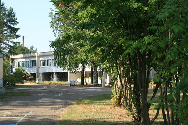 Лозым — фото 2