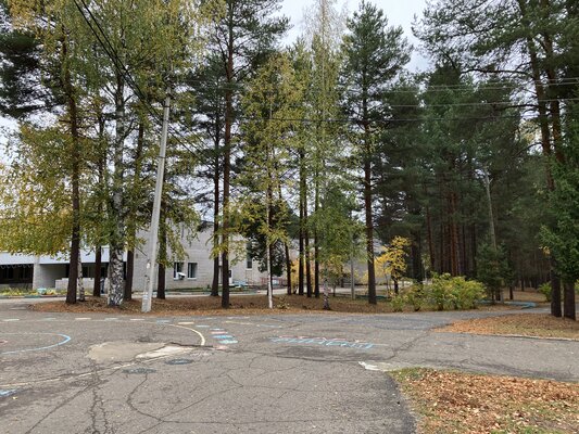 Лозым — фото 3