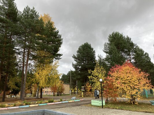 Лозым — фото 4