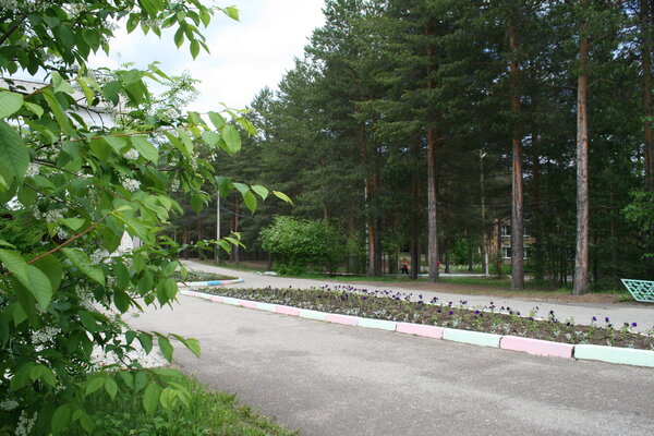 Лозым — фото 5