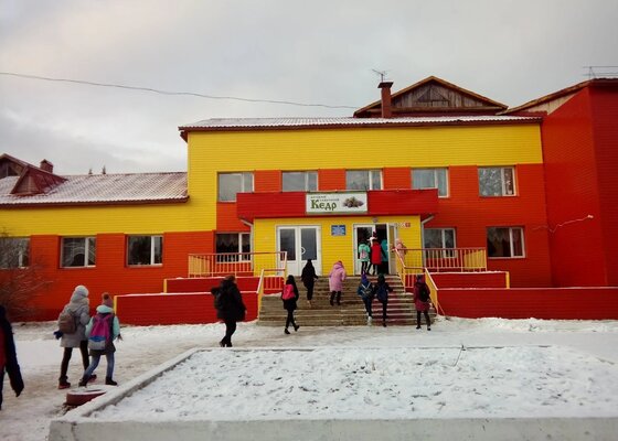 детский Кедр — фото 1