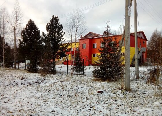 детский Кедр — фото 2