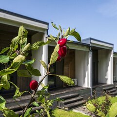 Отель New Riga Village, Московская область