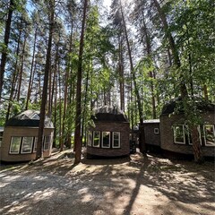 Дом в аренду Серебряные пески, Челябинская область