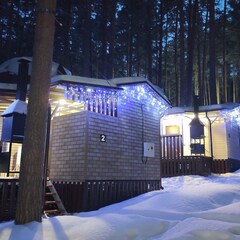 Дом в аренду Серебряные пески, Челябинская область