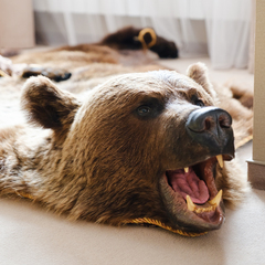 Спа-отель Увельские Курорты, Челябинская область