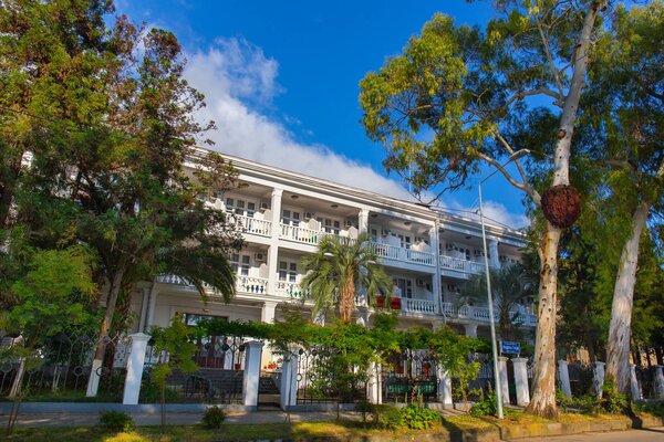 Мидель Гагра — фото 3