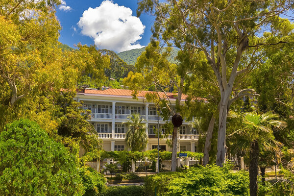 Мидель Гагра — фото 4