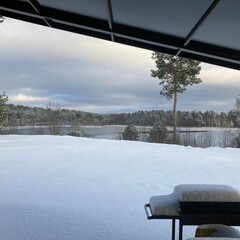 Частный дом Рео Рест — Звездное небо, Псковская область