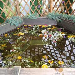 Турбаза Адмирал, Ульяновск, Ульяновская область