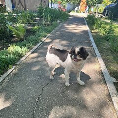 Турбаза Адмирал, Ульяновск, Ульяновская область