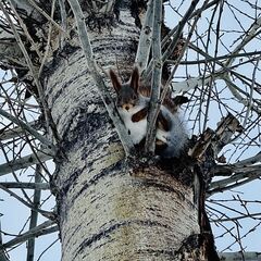 Турбаза Адмирал, Ульяновск, Ульяновская область