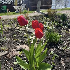 Турбаза Адмирал, Ульяновск, Ульяновская область