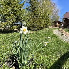 Турбаза Адмирал, Ульяновск, Ульяновская область