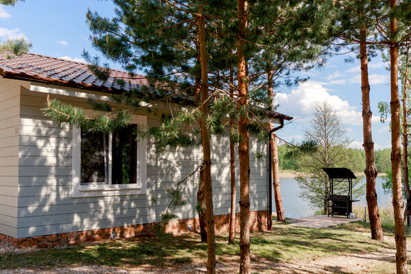 Рео Рест — Утренний туман — фото 3