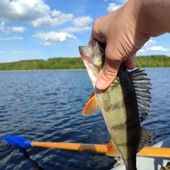 Гостевой дом Карельский мыс , Республика Карелия