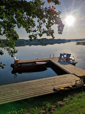 Воробьиное гнездо  — фото 5