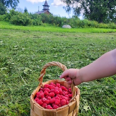 Гостевой дом Воробьиное гнездо , Республика Карелия