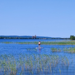 Гостевой дом Воробьиное гнездо , Республика Карелия
