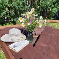 Гостевой дом Медовое ранчо , Республика Карелия