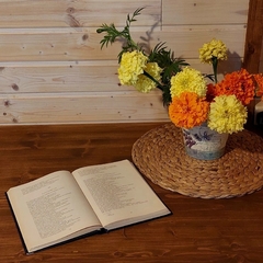 Гостевой дом Медовое ранчо , Республика Карелия